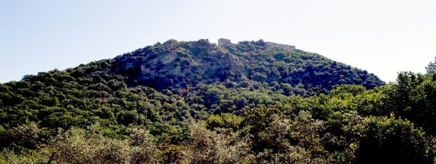 NATURA CHE AVVOLGE